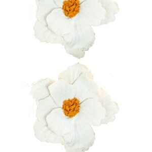 Gota Serena — Flor blanca de centro dorado